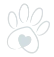 Dog Foot Print