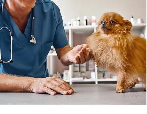 diagnostics-img